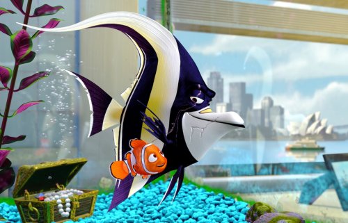 picture from Finding Nemo
