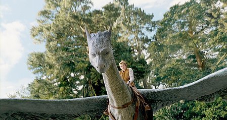 picture from Eragon