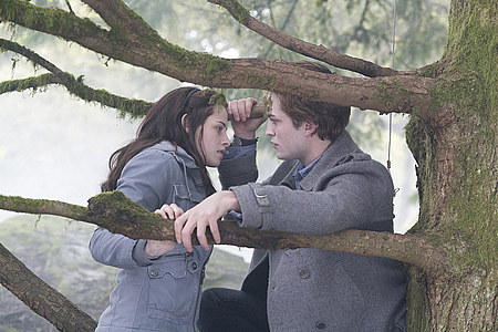 picture from Twilight